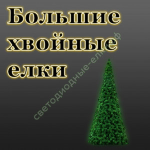 Большие хвойные елки Большие хвойные елки